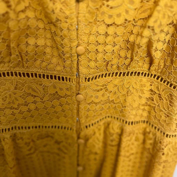 Francesca’s Collection Embroidered Lace Mermaid Midi Dress-Mustard - Picture 4 of 8